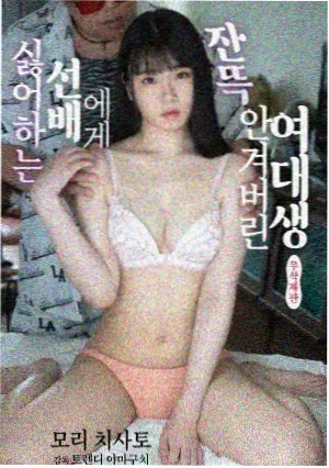 包间门缝双层密封条示意